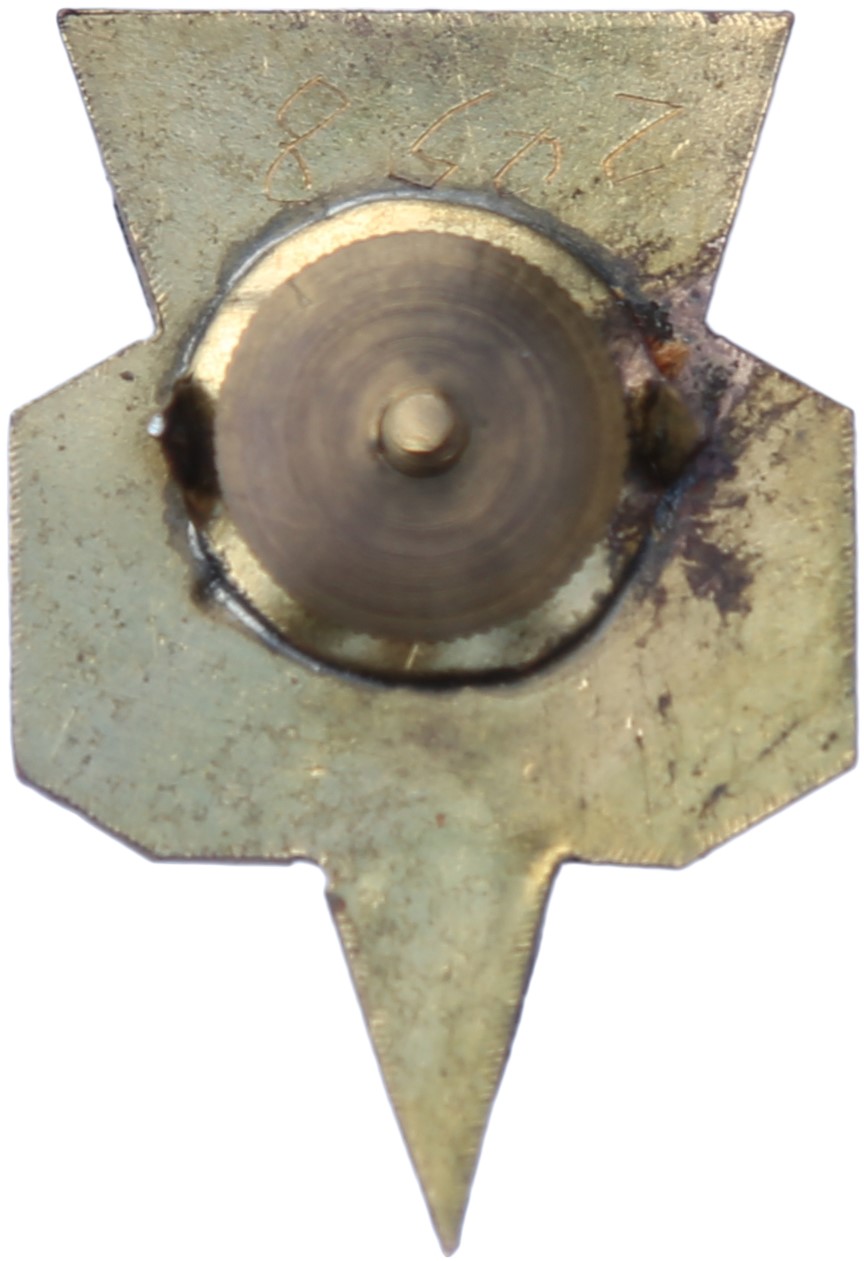 Type 1